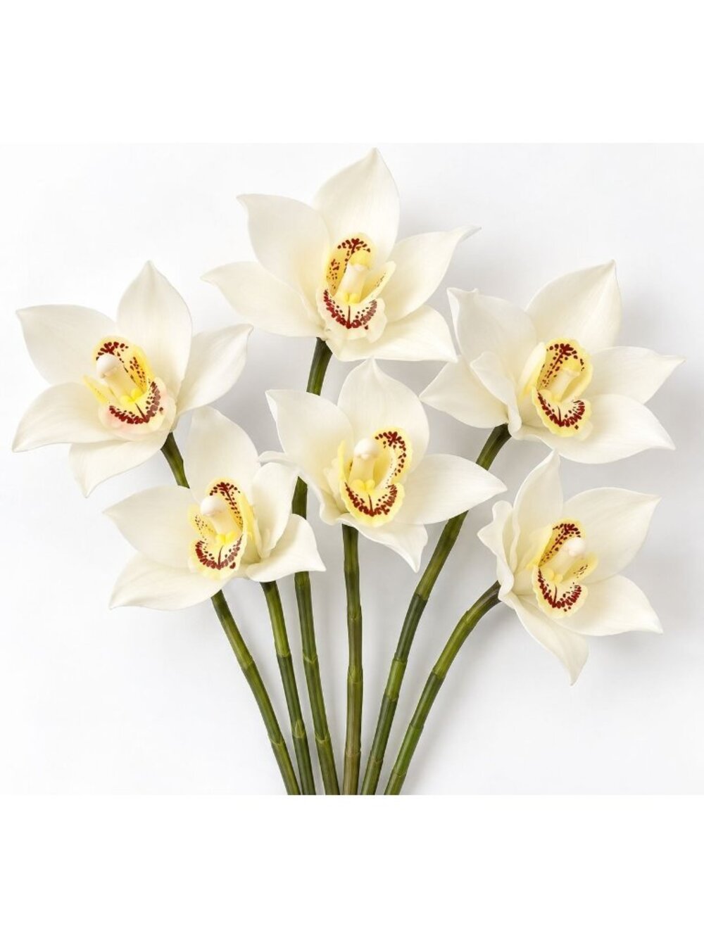White Cymbidium Orchids Set of 6, Real Touch Faux Orchid Stems, Wedding Flowers,